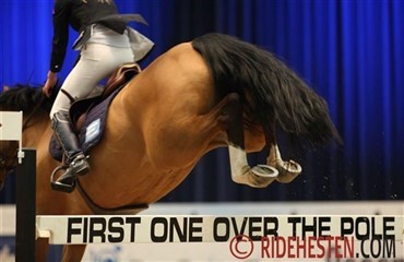 Vil du springe ved JBK Horse Shows?