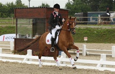 WebTV: Interview med Sille Engermann