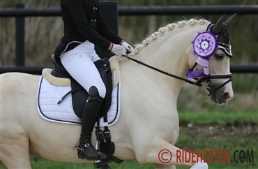 Dansk pony vandt tysk talentmesterskab