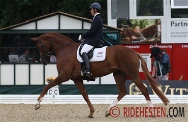 Woodlander Farouche med over 83%