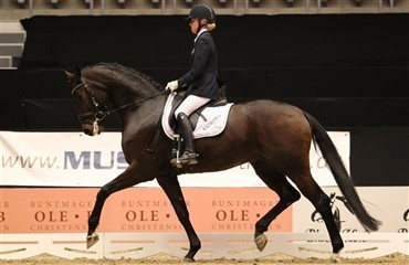 Finalister til DRF's Dressurchampionat