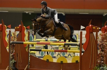 World Cup for ponyer i Boxen