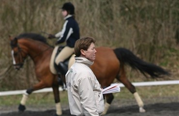 A- og B-trup udtaget i ponydressur