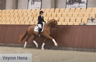 Veyron Hena tr&aelig;kker guldreferencer (VIDEO)