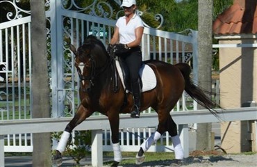 Bedste &aring;r trods finanskrise