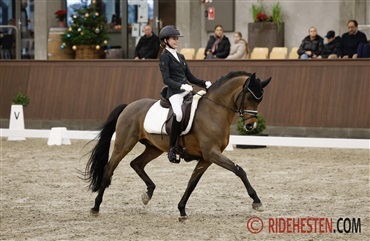 Nyt&aring;rs Cup-vindere er fundet i Herning