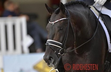 Zonik vinder GP ved World Cup  
