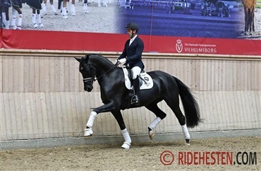 Tre hopper til eliteskue fra egnethedstest