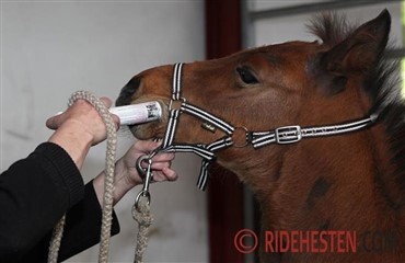 Har du styr p&aring; v&aelig;gten?