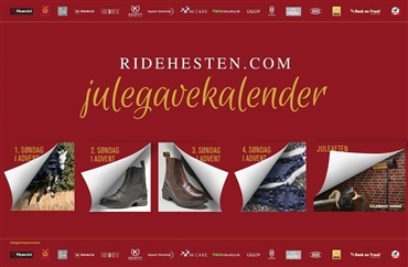 Disse pr&aelig;mier kan du vinde i vores julegavekalender