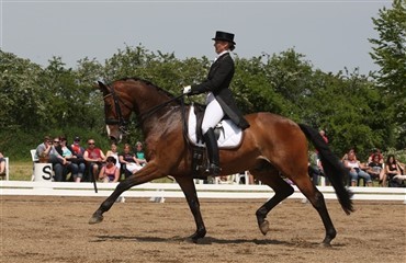 Marcela Krinke Susmelj rider danskavlet hest