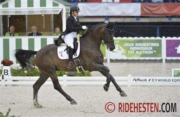 EM-hest uden bid (Video)