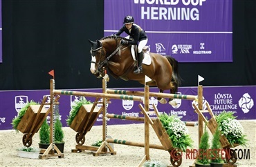 Internationale starter - uge 45