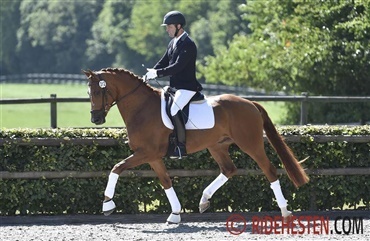 Blue Hors Dressurchampionat for 18. gang