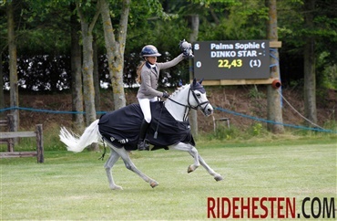 B&aelig;kgaarden Pony Festival var en succes