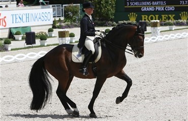 Victoria og August ikke til WEG 2010