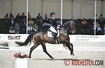 Internationale starter - uge 18