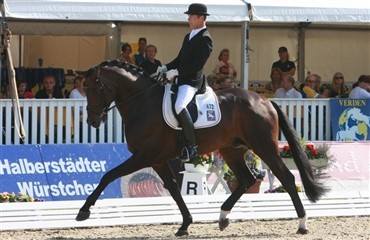 Matthias Rath rider nu Fürst Romancier