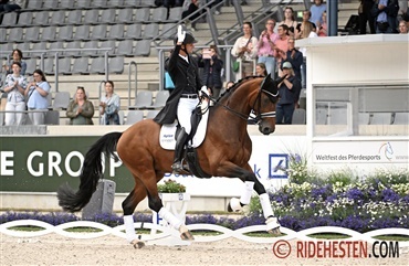 Fremragende start for Danmark