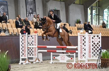 MB Rockvaro med flot udvikling 