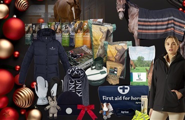 December byder p&aring; masser af hestehygge