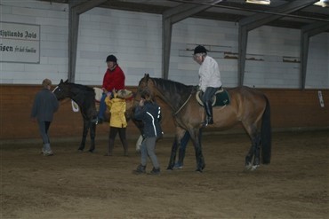 Kompenserende rideundervisning p&aring; Djursland