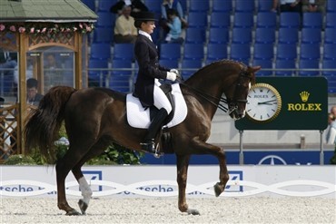 Dansk hest i Letland