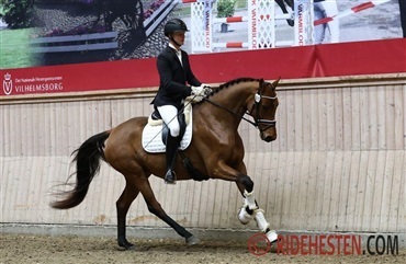 Tre Kamar-hopper skal til Herning