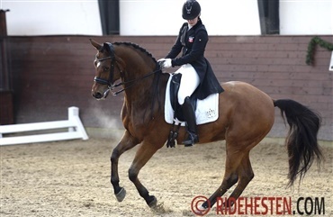 Flere placeringer i Azelhof