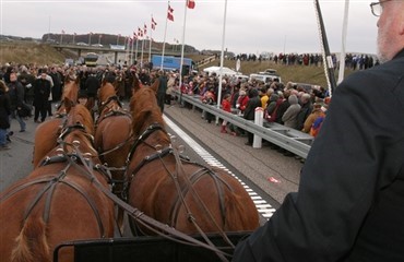 Hest dr&aelig;bt under studenterk&oslash;rsel