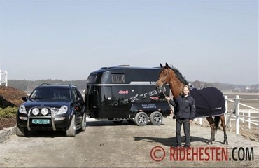 Transport af hest - hvordan er reglerne?