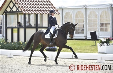 Sejr til Straight Horse Ascenzione