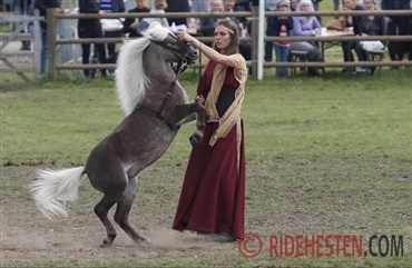 Er du og din hest fremtidens showstjerner?