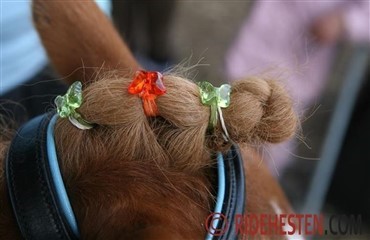 Vild med heste - casting