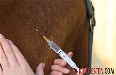Tyskland indf&oslash;rer krav til EHV-vaccination