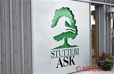 Hingstefremvisning p&aring; Stutteri Ask