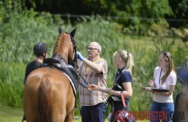 Workshop om velf&aelig;rd