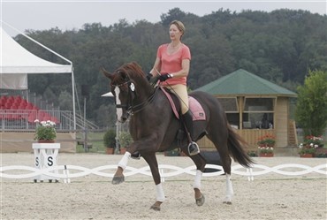 Grand Prix hest aflivet i Saumur