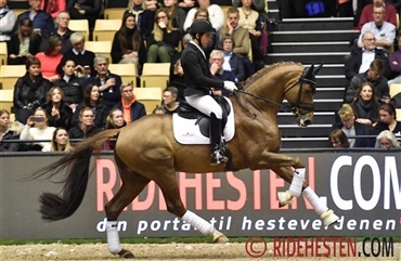 Dressurhingstene dansede for Bjarne
