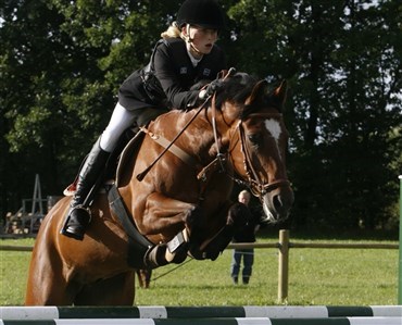Salgsweekend med topponyer