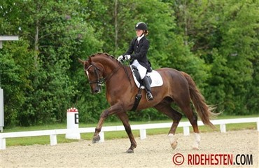 Young Riders med succes i &Oslash;strig