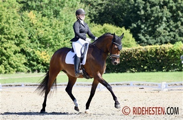 Dressurens Venner Cup skydes i gang