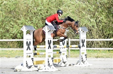 Baltic cup takker af