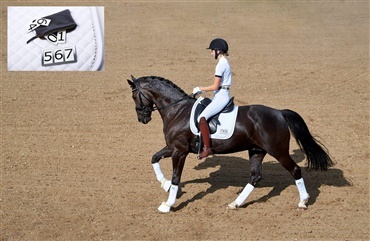 3. december - Vind et Rider by Horse underlag