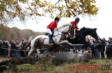 Dr&oslash;mmer du om at ride Hubertusjagt i Dyrehaven?