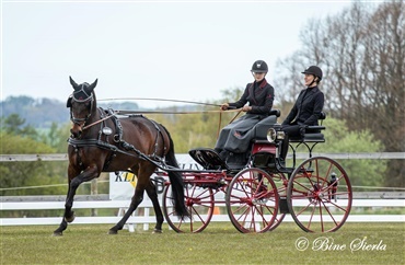 Vellykket k&oslash;rest&aelig;vne i M&oslash;rk&oslash;v