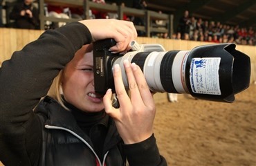 Travl weekend for Ridehestens fotografer