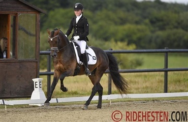 Sportsplan for pony, junior og ungryttere