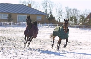 Ny forskning: Flest skader p&aring; folden