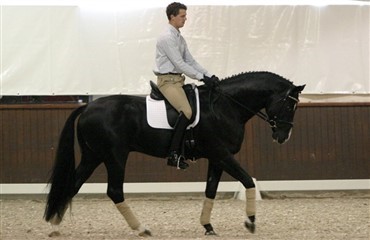 Global Dressage Forum 2010